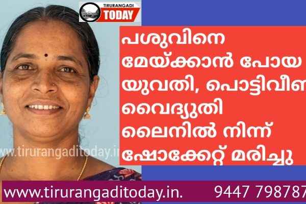 പശുവിനെ മേയ്ക്കാൻ പോയ യുവതി, പൊട്ടിവീണ വൈദ്യുതി ലൈനിൽ നിന്ന് ഷോക്കേറ്റ് മരിച്ചു