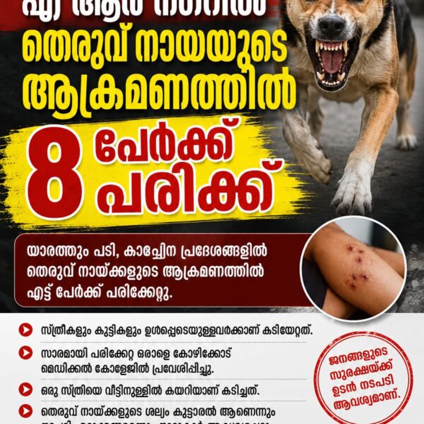 എആർ നഗറിൽ തെരുവ് നായ്ക്കളുടെ ആക്രമണം, എട്ട് പേർക്ക് പരിക്ക്