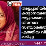 അട്ടപ്പാടിയിൽ കാട്ടാനയുടെ ആക്രമണം: വിനോദ സഞ്ചാരത്തിന് എത്തിയ വീട്ടമ്മ കൊല്ലപ്പെട്ടു