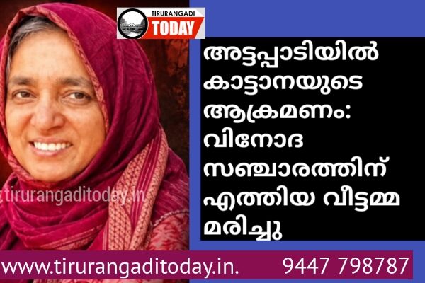 അട്ടപ്പാടിയിൽ കാട്ടാനയുടെ ആക്രമണം: വിനോദ സഞ്ചാരത്തിന് എത്തിയ വീട്ടമ്മ കൊല്ലപ്പെട്ടു