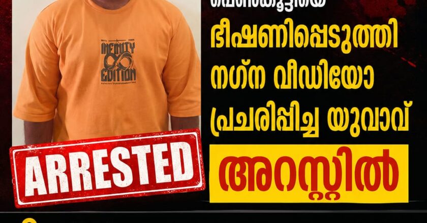 സോഷ്യൽ മീഡിയയിൽ പരിചയപ്പെട്ട 16 കാരിയുടെ നഗ്ന ദൃശ്യങ്ങൾ പ്രചരിപ്പിച്ച യുവാവ് പിടിയിൽ