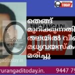 തെങ്ങ് മുറിക്കുന്നതിനിടെ തലയിൽ വീണ് മധ്യവയസ്കൻ മരിച്ചു