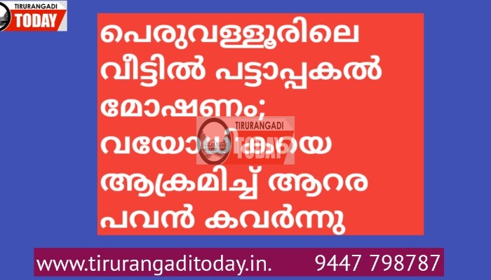 പെരുവള്ളൂരിലെ വീട്ടിൽ പട്ടാപ്പകൽ മോഷണം; വയോധികയെ ആക്രമിച്ച് ആറര പവൻ കവർന്നു